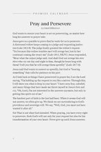 Load image into Gallery viewer, Promise Calendar 2026